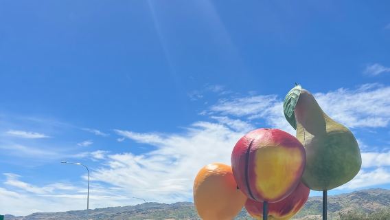 【南島之旅】紐西蘭皇后鎮+克倫威爾鎮+克萊德水壩+聖巴森斯