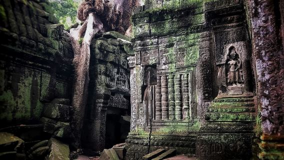 Angkor Wat Temple Tour -- English-speaking guide