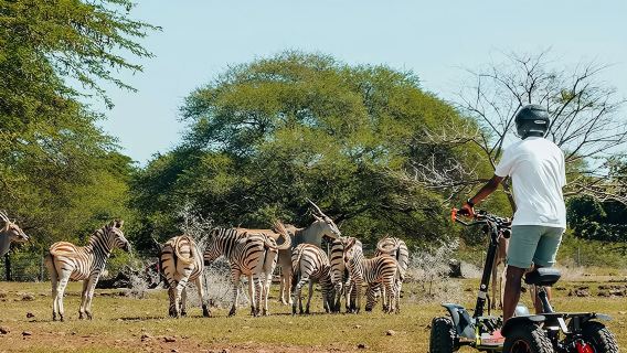 モーリシャスケースラ自然公園+ブラックリバー渓谷貸切チャーターワンデーツアー