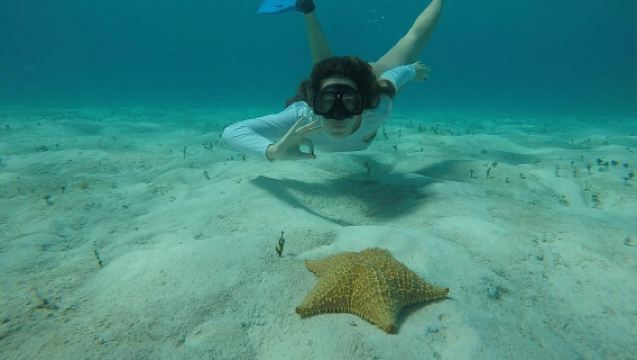 Catalina Island and snorkel in The Wall - Catamaran Tour