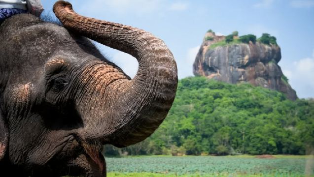 Sri Lanka sigiriya lion rock, dambulla and village wildlife tour