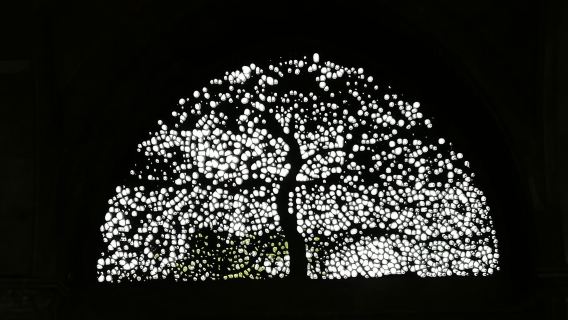 Recorrido por la ciudad de Ahmedabad, Patrimonio de la Humanidad, en coche privado con guía y almuerzo.