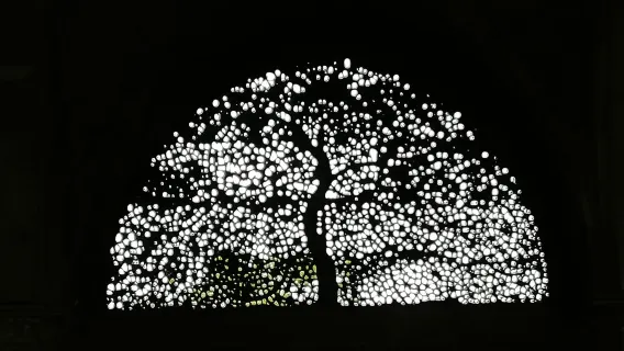 Visite d'Ahmedabad, ville classée au patrimoine mondial, en voiture privée avec guide et déjeuner.