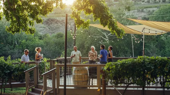 The 4 Winery Tour with Charcuterie Using Limo/Party Buses only! 