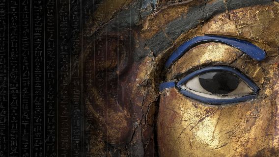 Torino: Museo Egizio, visita guidata monolingue salta fila, piccolo gruppo