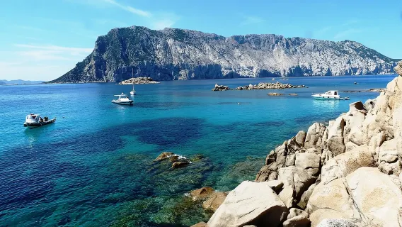 Boat tour to explore the Marine Protected Area of Tavolara