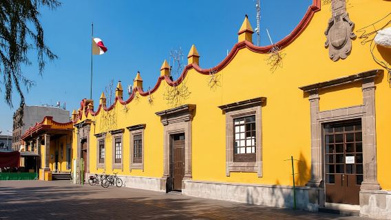 Xochimilco and Coyoacán guided tour