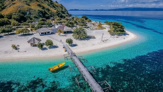 Komodo Island one-day tour[Komodo Dragon 3 Attractions Half Day Sunset Tour]