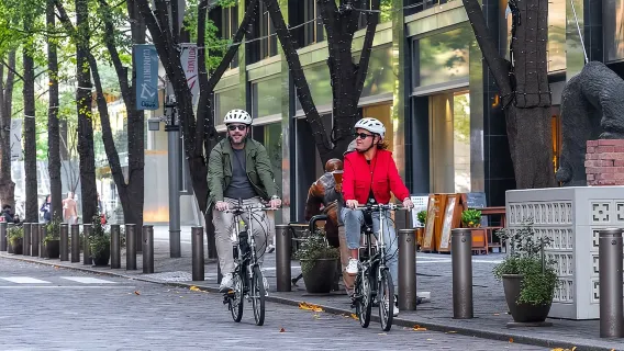 3hr Private E-bike Tours in Tokyo, Starting at your hotel