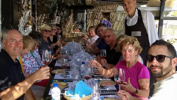 Tur Mencicipi Anggur di pertanian tradisional di Mykonos