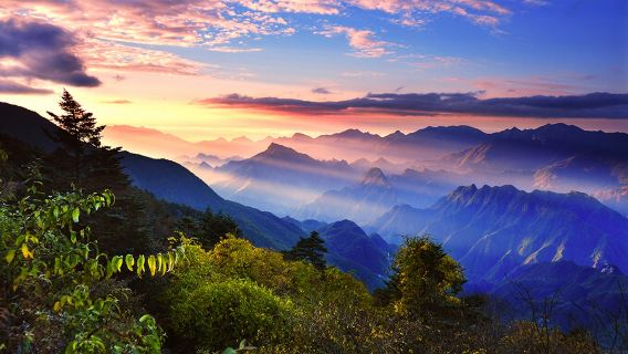 神農架神農頂風景區+大九湖國家濕地公園+天生橋景區導覽【當地導遊帶您探索神秘神農架 一對一服務 高端私