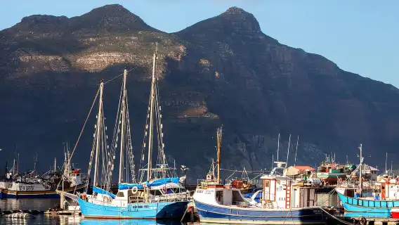 Departing from Cape Town, South Africa: Cape of Good Hope + Penguin Island 1-day tour (8–15 people small group)