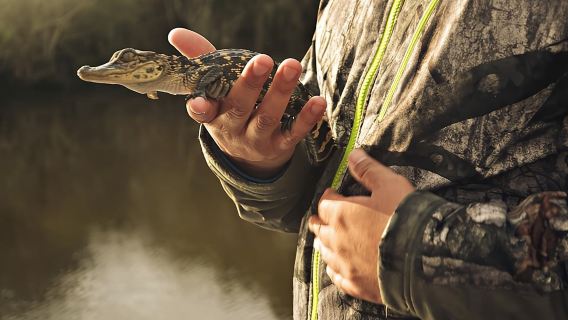 Lawatan Sehari Penuh Bandar New Orleans, Tanah Perkuburan dan Paya