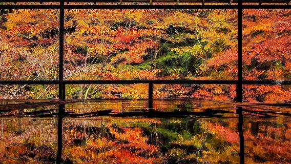 日本京都-瑠璃光院-三千院-貴船神社-嵐山-紅葉巡禮-紅葉季