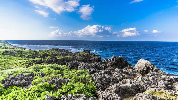 Okinawa Hip-Hop Bus C Course Tour naar Northern Island