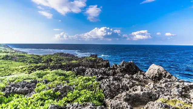 沖繩嘻哈巴士C線北島之旅