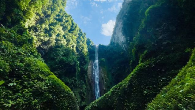 廣西百色南寧崇左通靈大峽谷+德天跨國瀑布景區【2人起發-上門接送】
