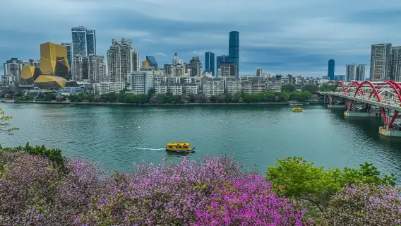 ศูนย์ประชุมและแสดงสินค้านานาชาติกว่างซีหนานหนิง ประเทศจีน + ทัวร์วันเดียว/ทัวร์หลายวัน 8 ชั่วโมง ไกด์ ไกด์ ภาษาจีนและอังกฤษ