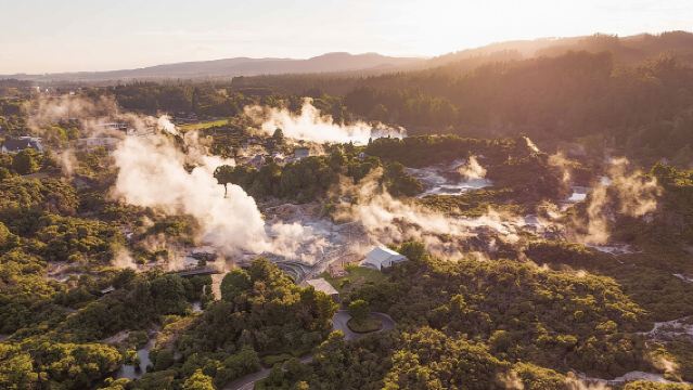 Te Puia: Te Rā Guided Experience