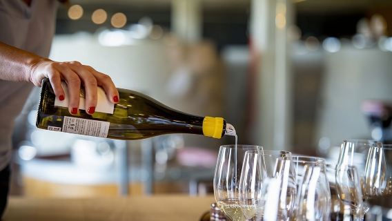 Santiago de Compostela: Cheese and Wine Tasting Experience