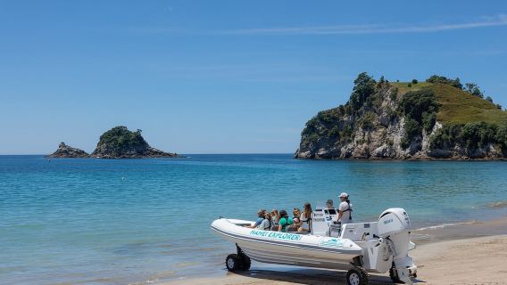 Chuyến tham quan bằng thuyền đến Nhà thờ Hahei Explorer Cove