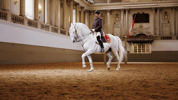 Vienna: Chương trình biểu diễn 45 phút của Trường dạy cưỡi ngựa Tây Ban Nha