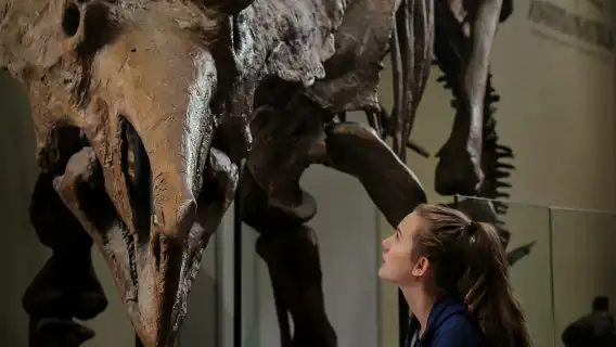 Ottawa: Canadian Museum of Nature Admission