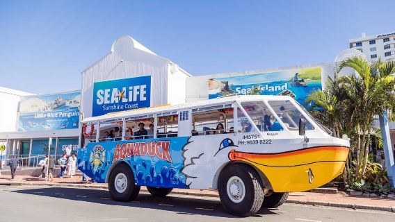 Sunshine Coast: tour di 1 ora via terra e via acqua