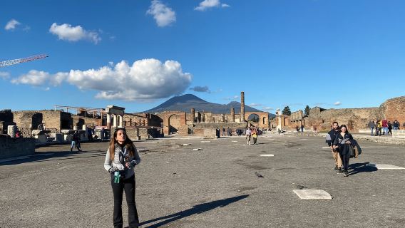Desde Nápoles o Sorrento: tour de medio día a Pompeya