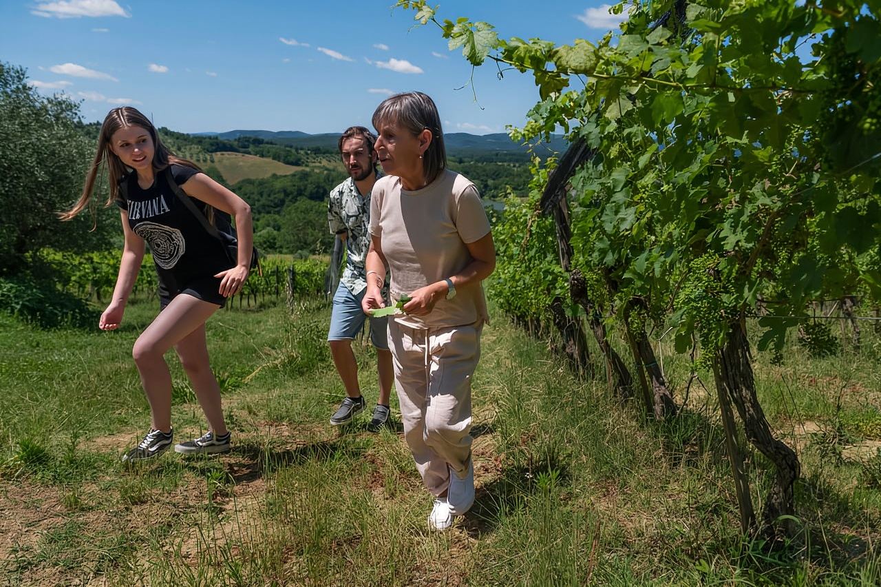 Siena: tour della cantina biologica e degustazione di vini