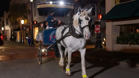 Charleston: Recorrido nocturno en carruaje embrujado tirado por caballos