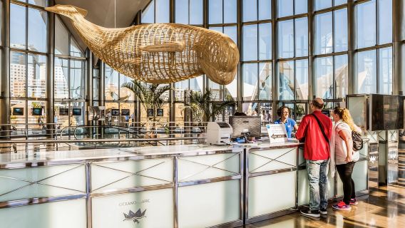 Entrada al Oceanogràfic de Valencia con visita al backstage en español