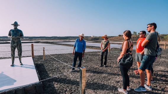 Lanzarote: Janubio Salt Flats Guided Tour