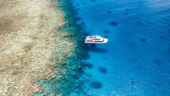 Port Douglas: Poseidon Outer Barrier Reef Dive and Snorkel