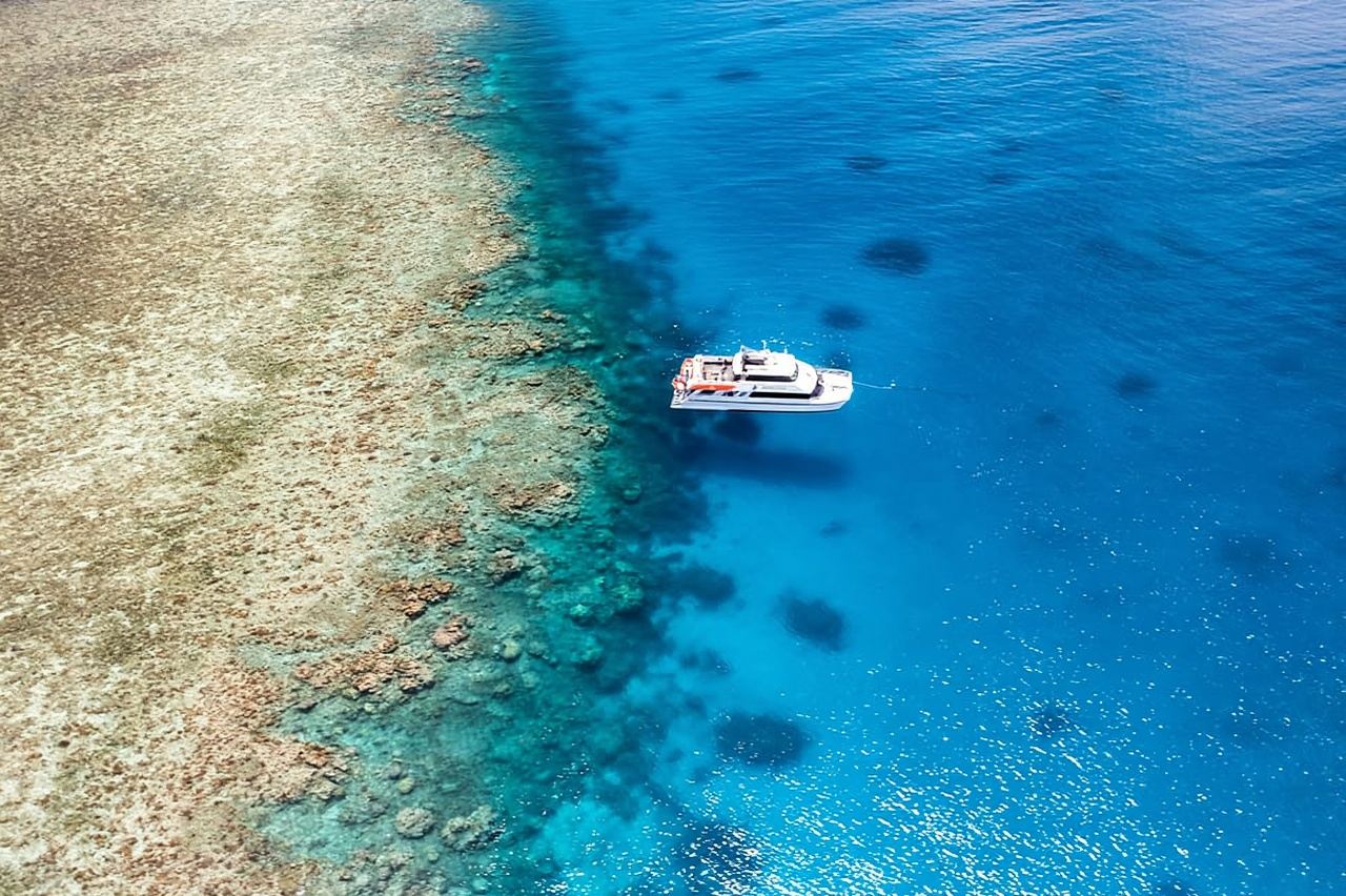 Port Douglas: Poseidon Outer Barrier Reef Dive and Snorkel