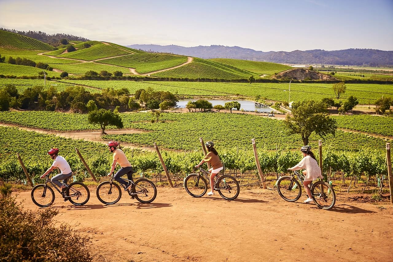 이슬라 네그라, 알가로보 & 카사블랑카 와인 밸리 일일 투어