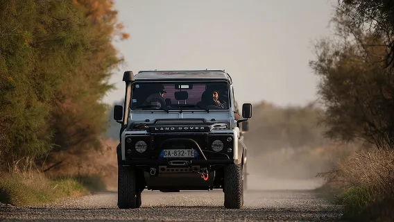 4x4 Camargue Safari 4h - Departure from Arles