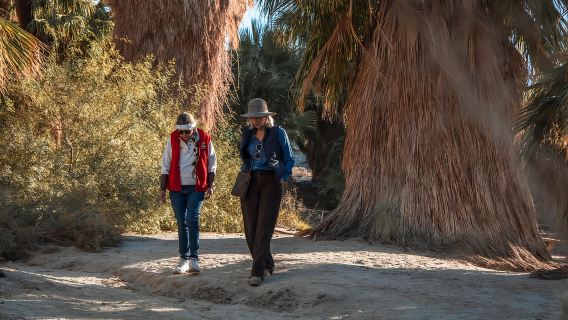 Palm Springs: San Andreas Fault Open-Air Jeep Tour