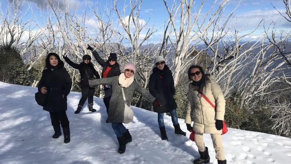 From Melbourne: Mt Buller Snow Day Small Group Boutique Tour