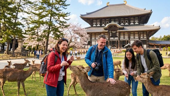 Nara 6hr Private Tour with Government-Licensed Guide
