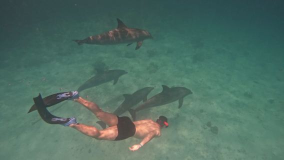 Hurghada: Orange Bay + Diving, Local Breakfast, Seafood Lunch