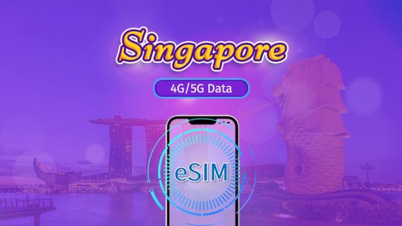 Сингапур|4G/5G eSIM|Ежедневный пакет / Пакет трафика|Трафик сбрасывается раз в 24 часа|1-30 дней|QR-код