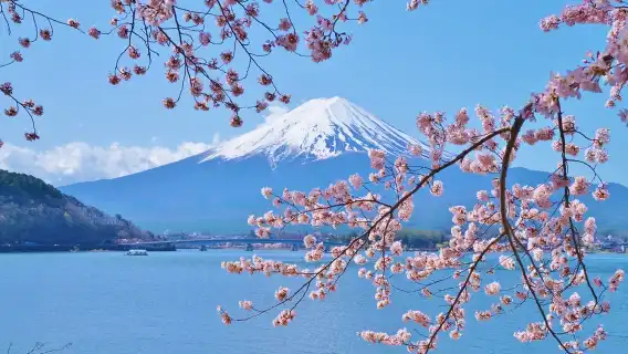 日本必買交通票｜JRPASS富士山＋靜岡區域3日周遊券 Mini｜台灣地區宅配