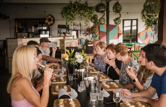 開啟獵人谷全日酒莊之旅