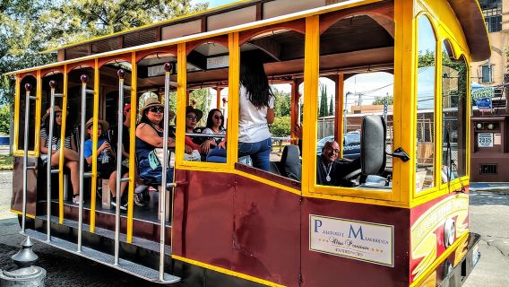 TLAQUEPAQUENSE DAY, Tram + Workshops + Gastronomy