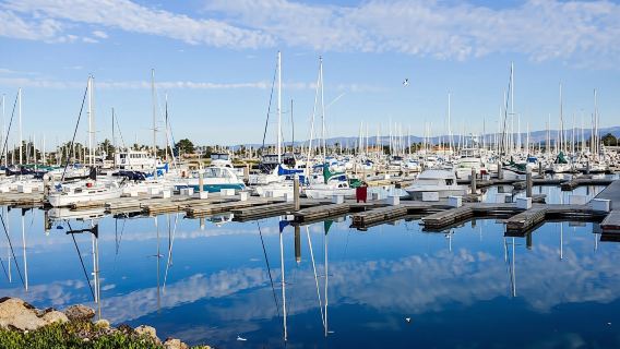 Newport's champagne premium brunch cruise