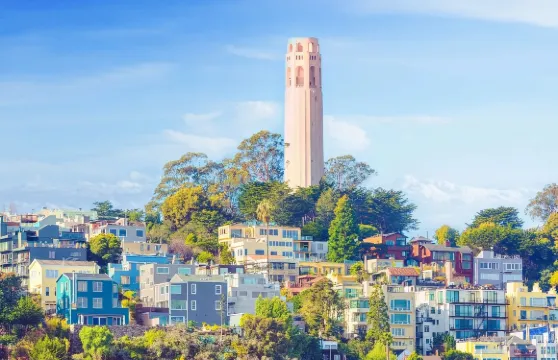 美國三藩市加州大學伯克利分校-可訂製【中文專車-舒適純淨】