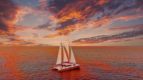 Aruba Morning Snorkeling or Sunset Sail to Boca Catalina With BBQ