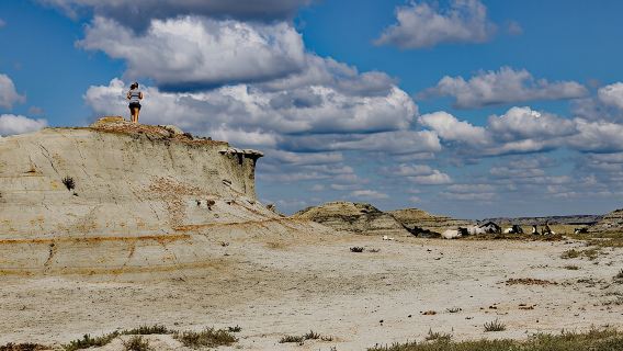 Chasing Horses : une expérience de retour à la nature dans le Dakota du Nord