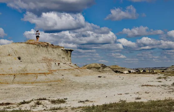 在北達科他州體驗“追馬回歸自然”之旅